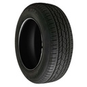 225/65R17 102H NEXEN ROADIAN HTX RH5